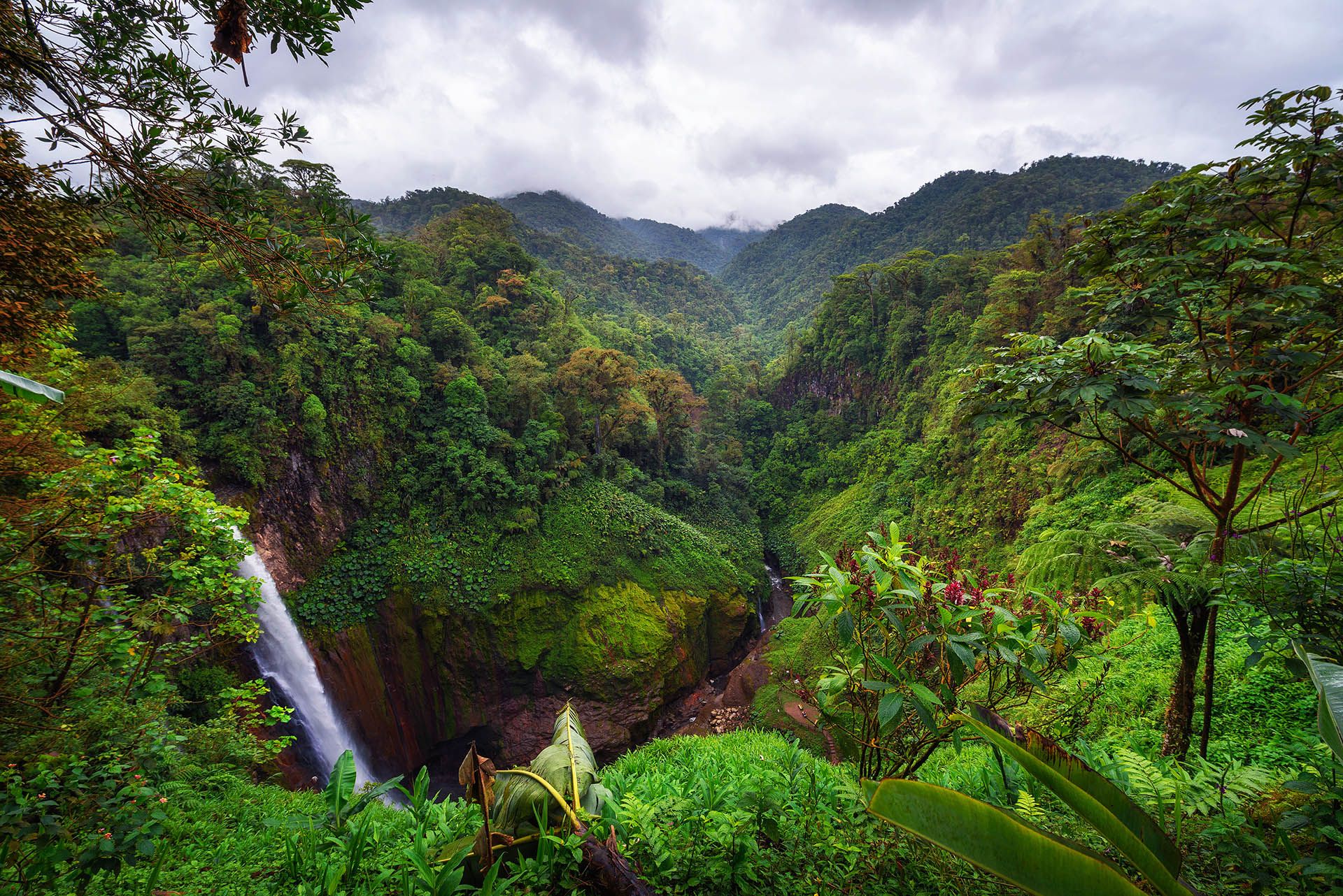 Catarata del Toro waterfall in Bajos del Toto, Costa Rica © Shutterstock