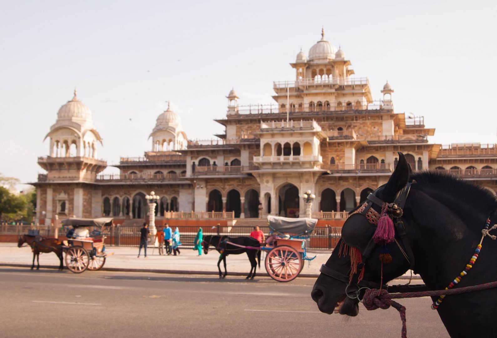 Albert Hall - Jaipur, India © Shutterstock