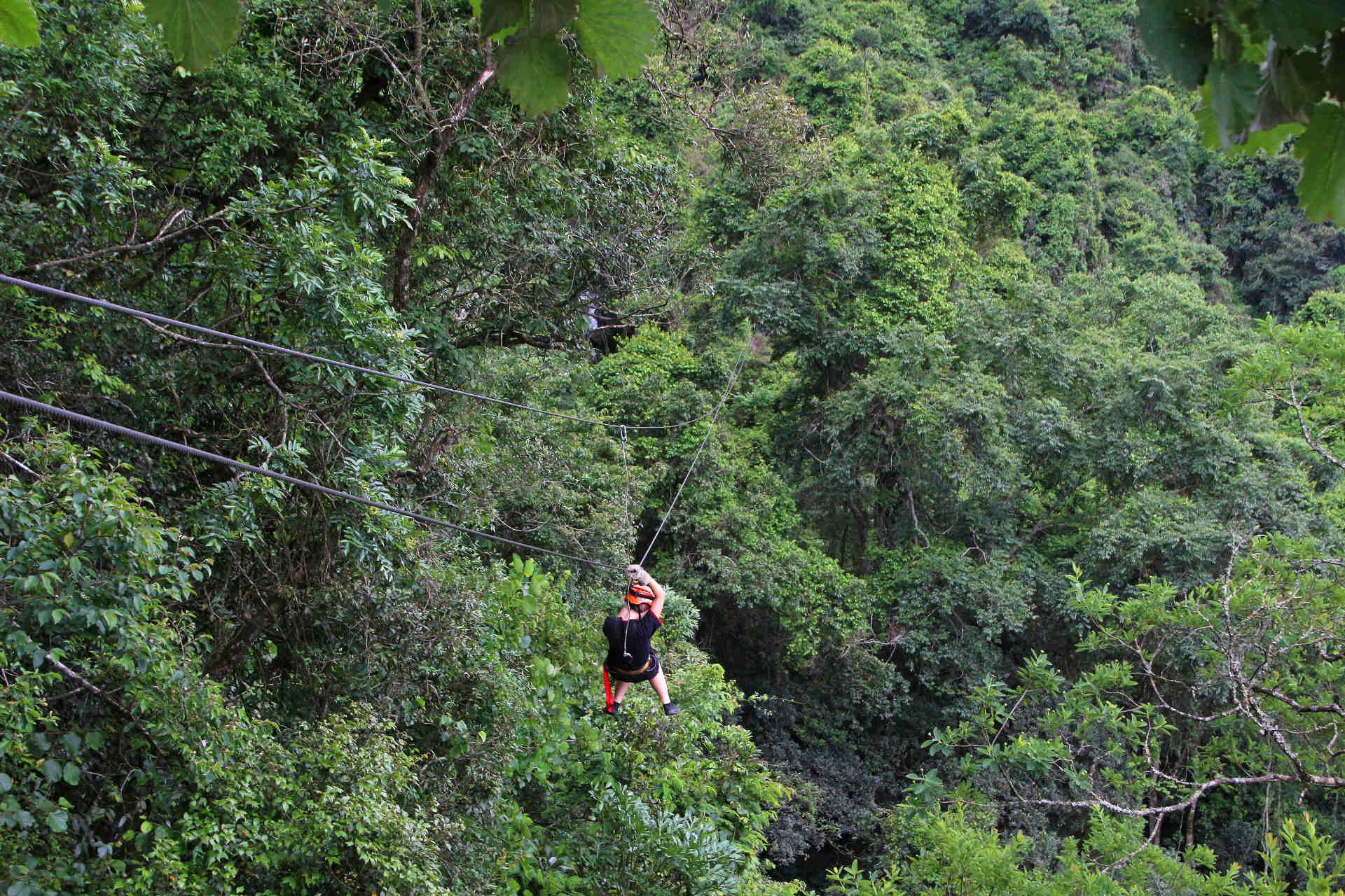 Canopy forest zipline ride © Shutterstock