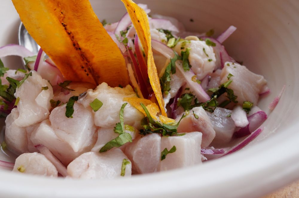 Ceviche