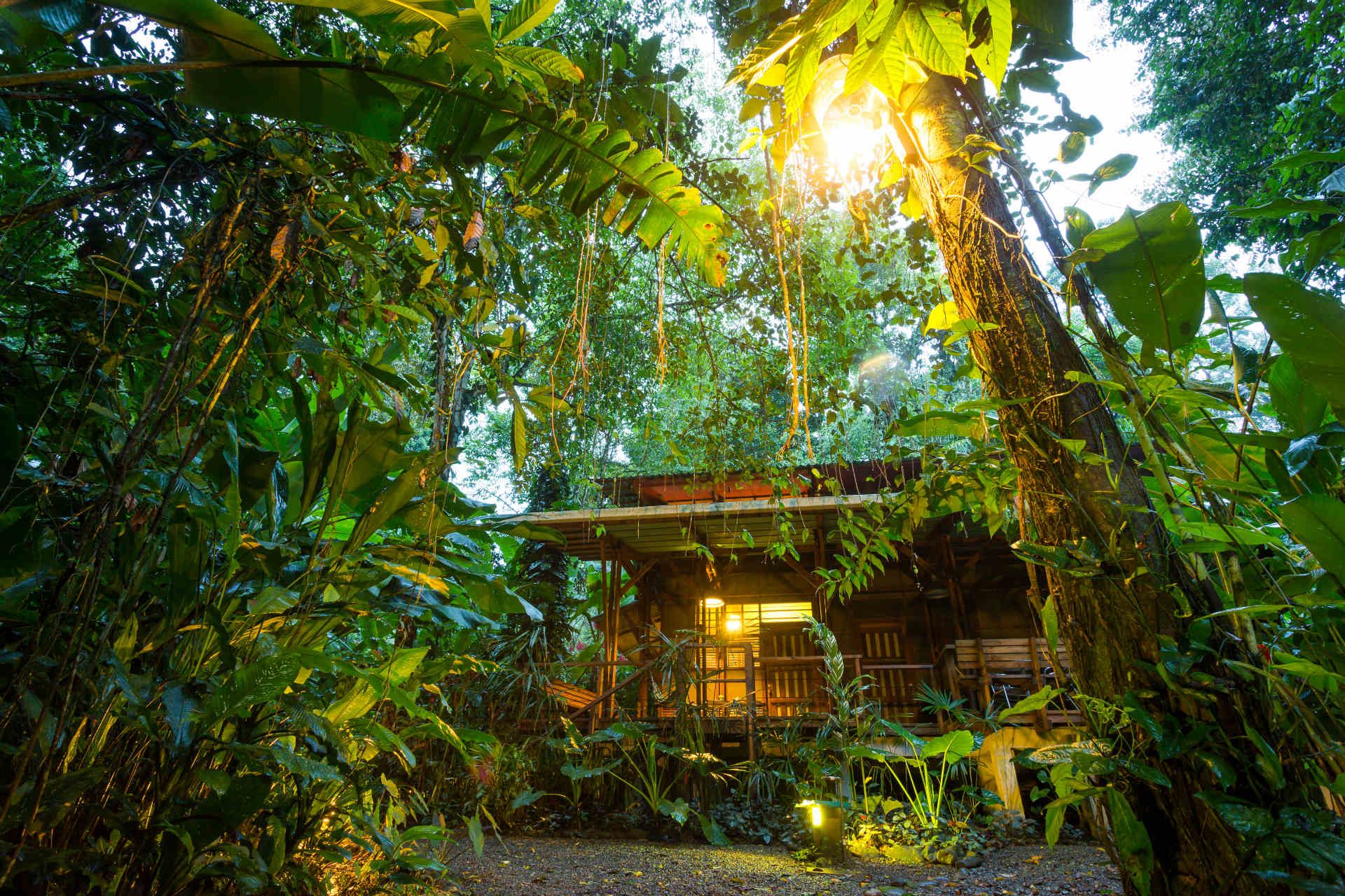 Eco lodge rainforest, Puerto Viejo de Talamanca, Costa Rica © Shutterstock