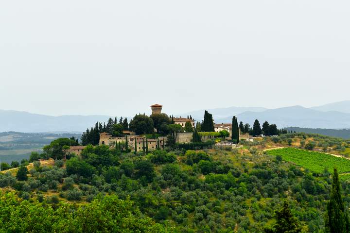 Savoring Italy: Food, Wine, and Culture - image 2