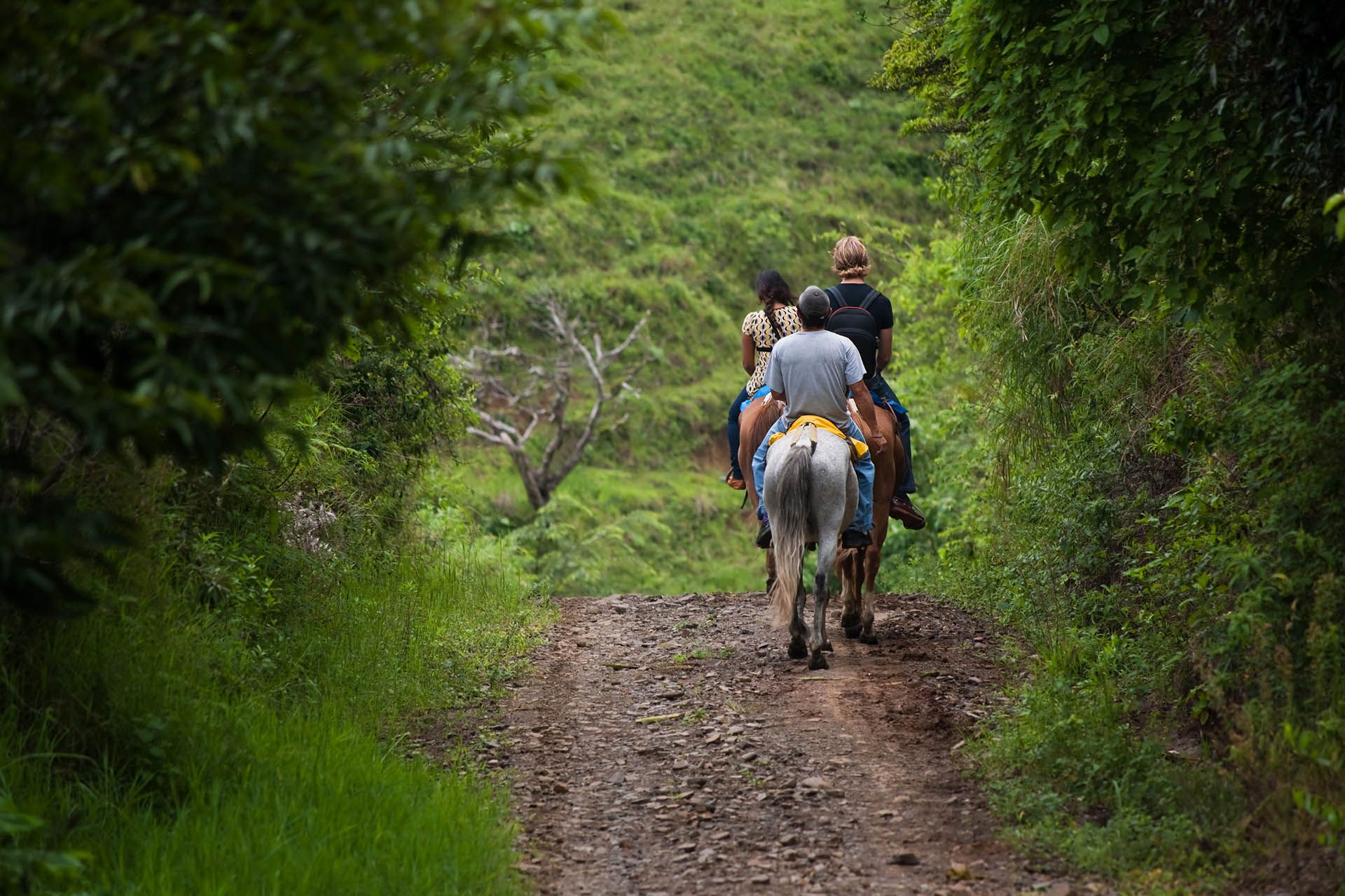Tourists on horseback in Costa Rican cloud forest © Shutterstock