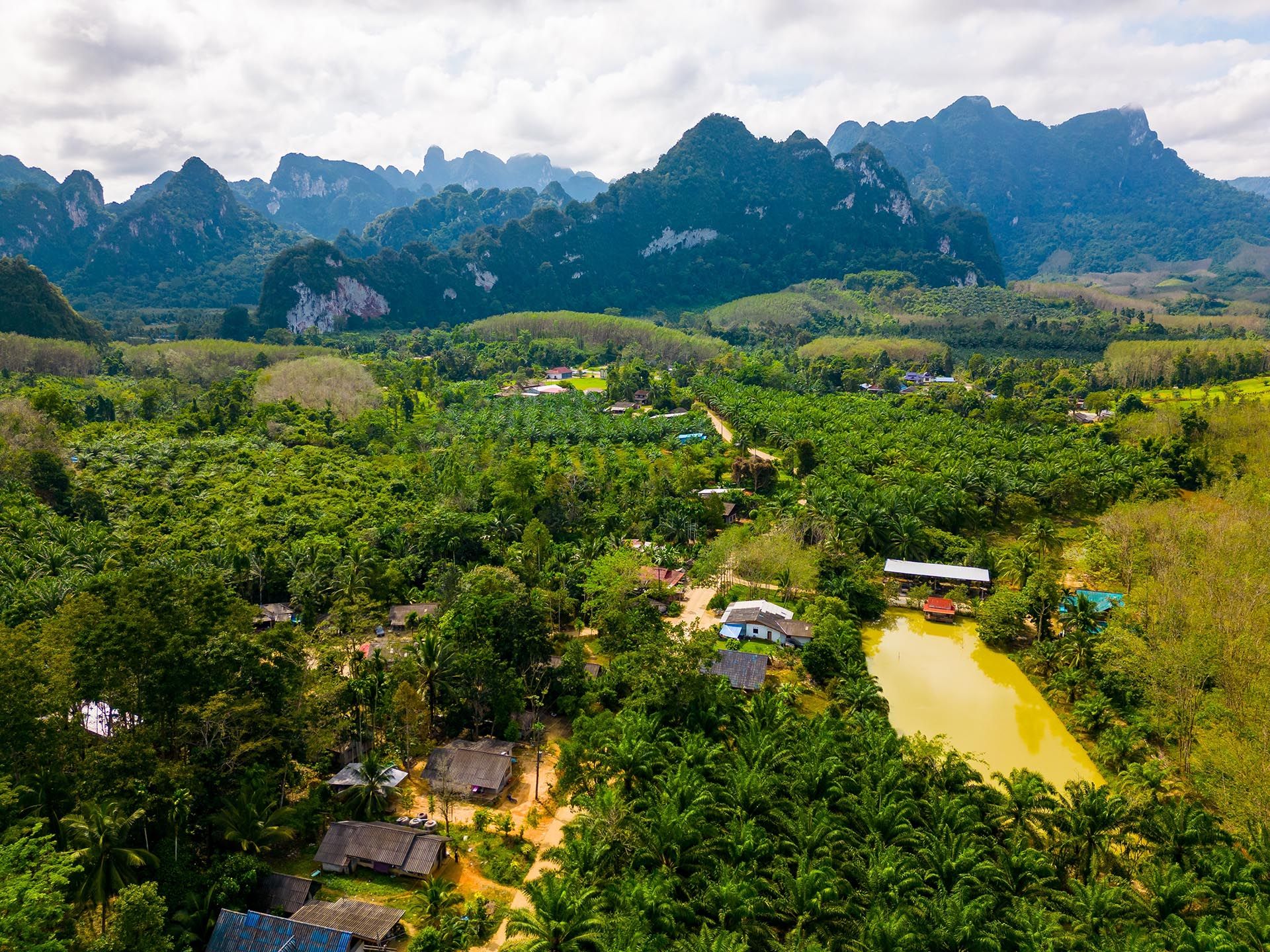 Aerial drone view of Khao Sok national park, Thailand © Shutterstock
