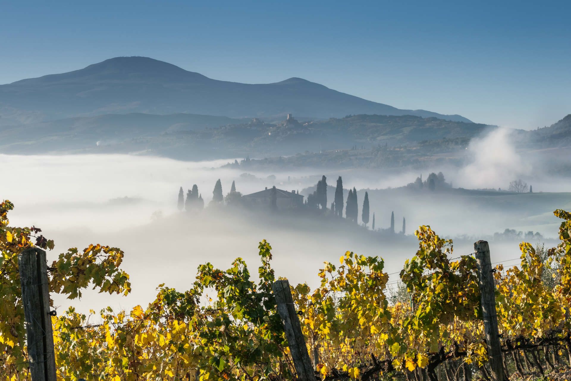 Landscape vineyard fog in Tuscany, Italy © Dmytro Balkhovitin/Shutterstock