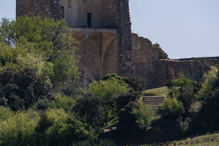 Colors of Provence - image 2