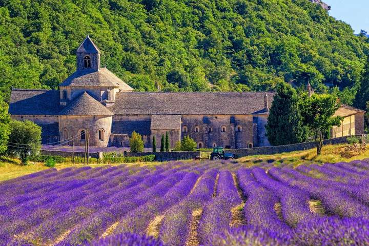 Colors of Provence - image 4