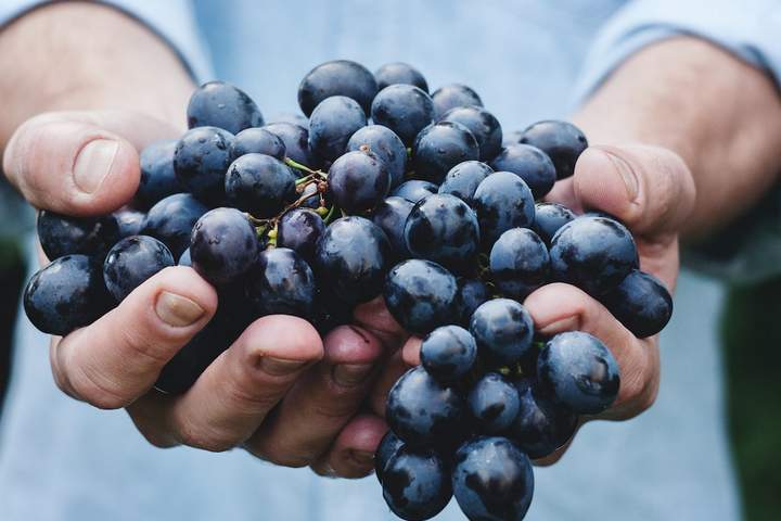 Medieval Towns & Outdoor Fun - Switzerland and Italy Combo - image 16