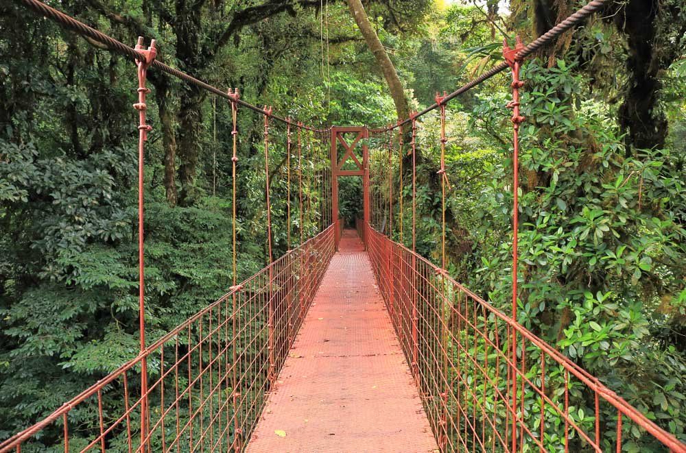 monteverde -costa-rica-shutterstock_1164189547