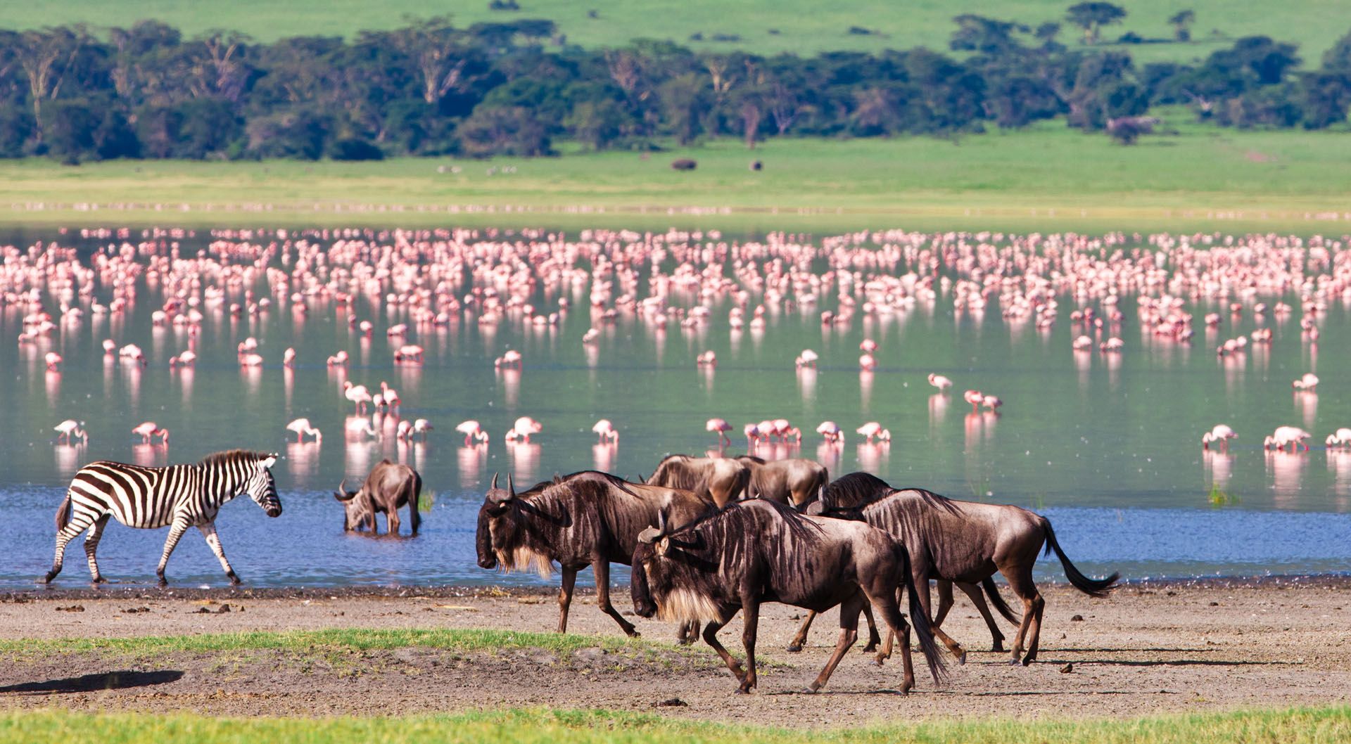 ngorongoro-crater