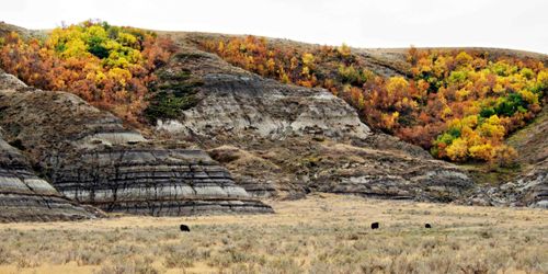  Saskatchewan food for thought