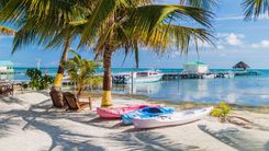 Palms and beach at Caye Caulker island, Belize © Matyas Rehak/Shutterstock