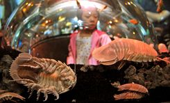 Sentosa and the southern isles