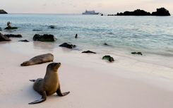 The Galápagos Islands