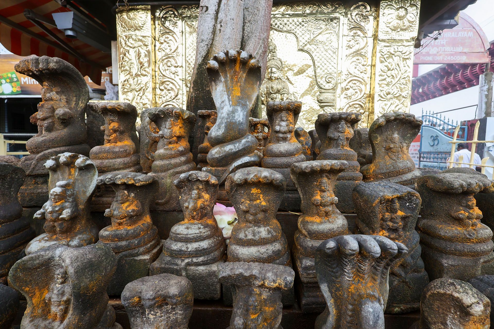 Serpent temple Thiruvananthapuram Kerala India, snake idol © Shutterstock