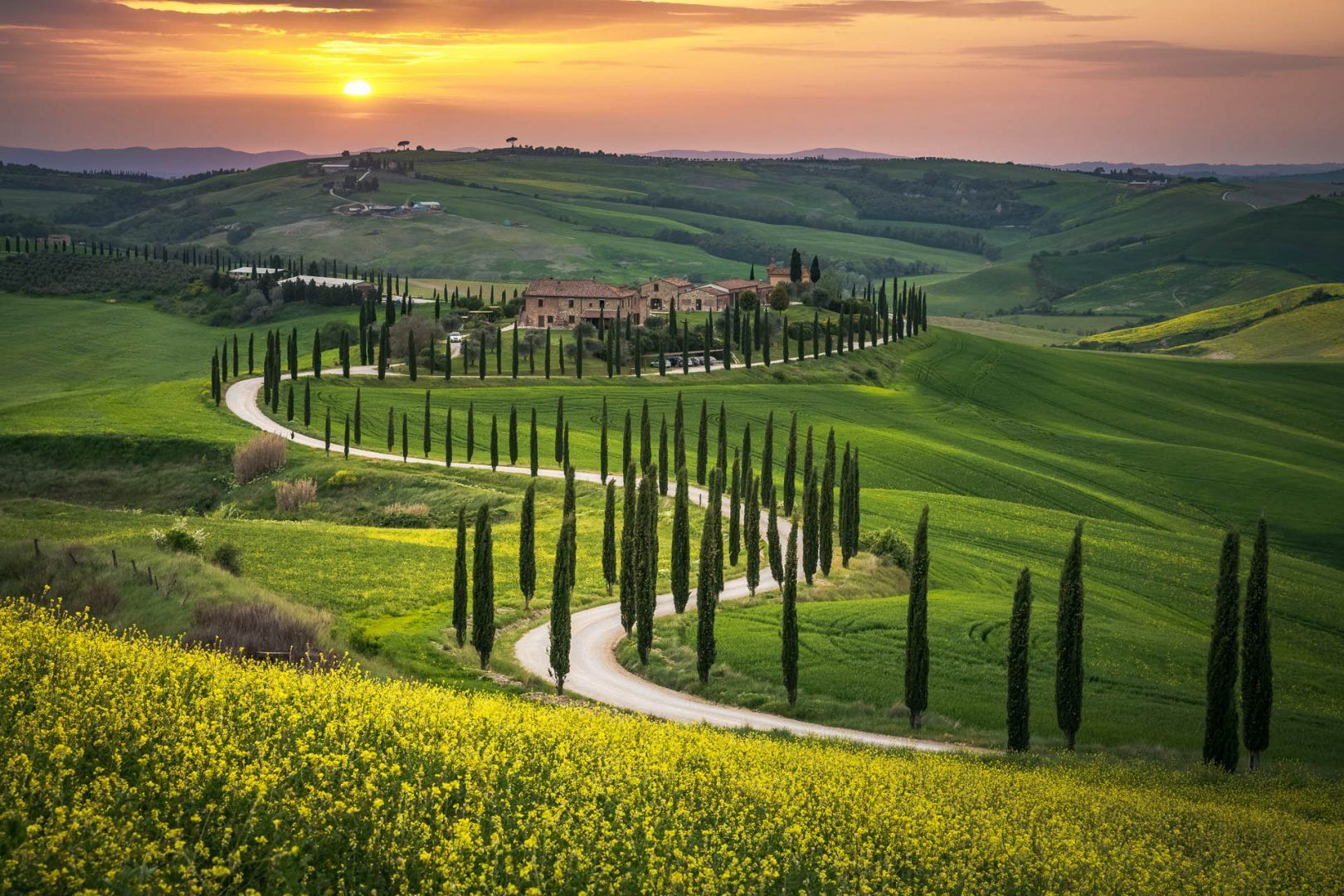 Tuscany road with cypress tree © Shutterstock