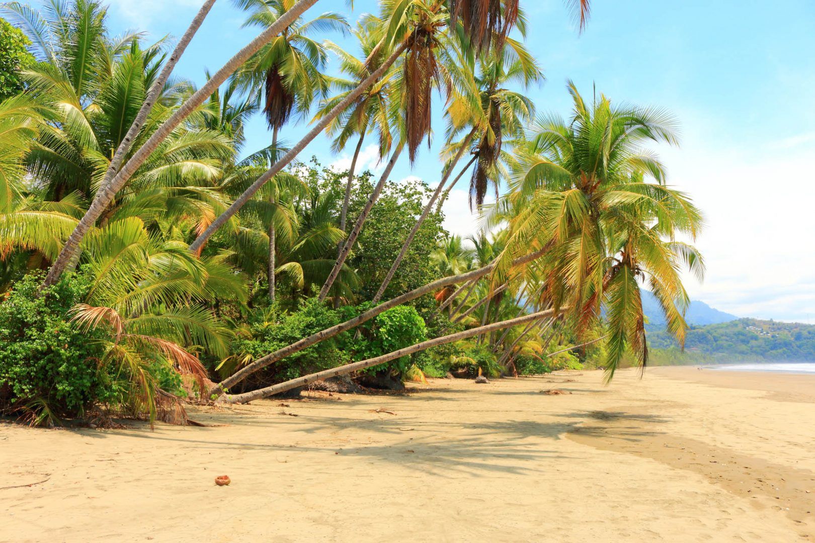 Costa Rica, playa Uvita © Judith Lienert/Shutterstock