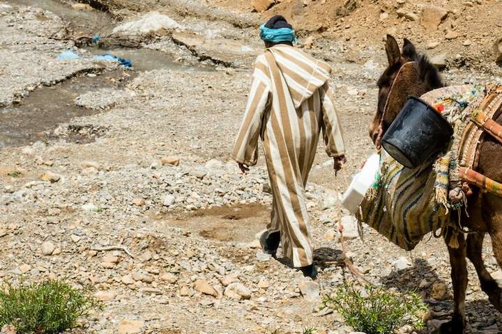 Morocco from Casablanca - image 3